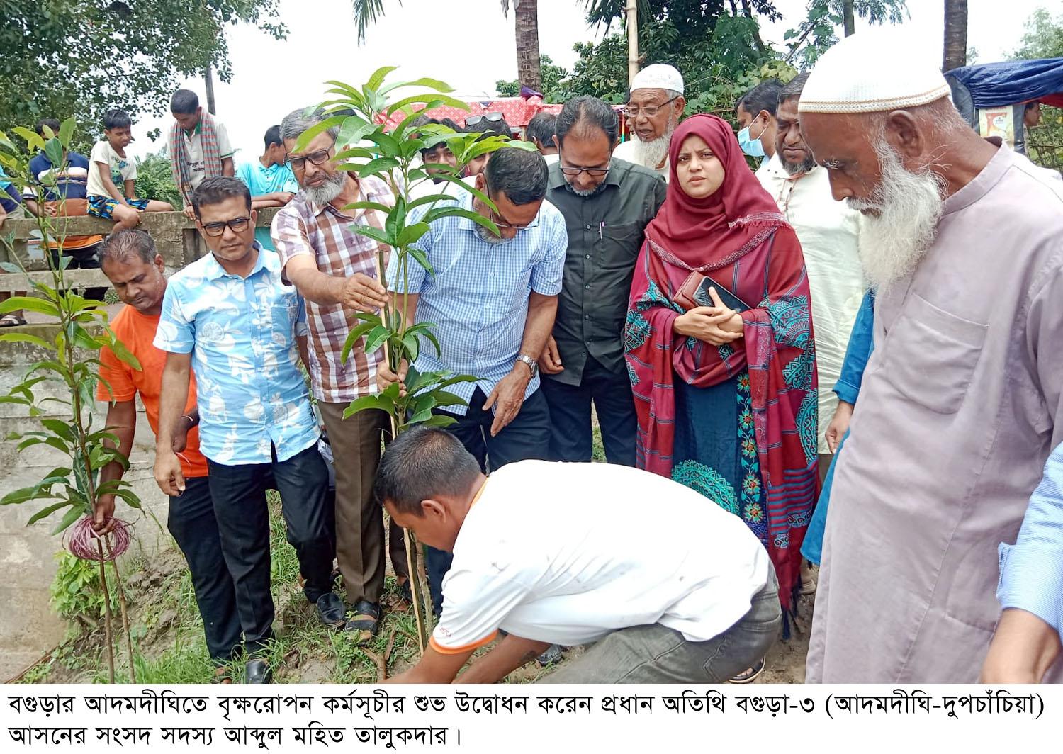 আদমদীঘিতে বৃক্ষ রোপন কর্মসূচীর উদ্বোধন করলেন এমপি মহিত তালুকদার